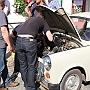 Bild (181)